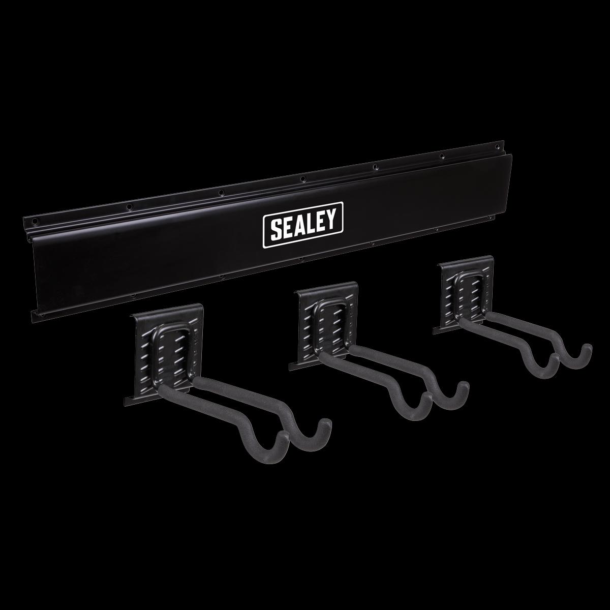 Sealey APHKIT11 Wall Mounting Storage Rail with Sports Equipment Hooks
