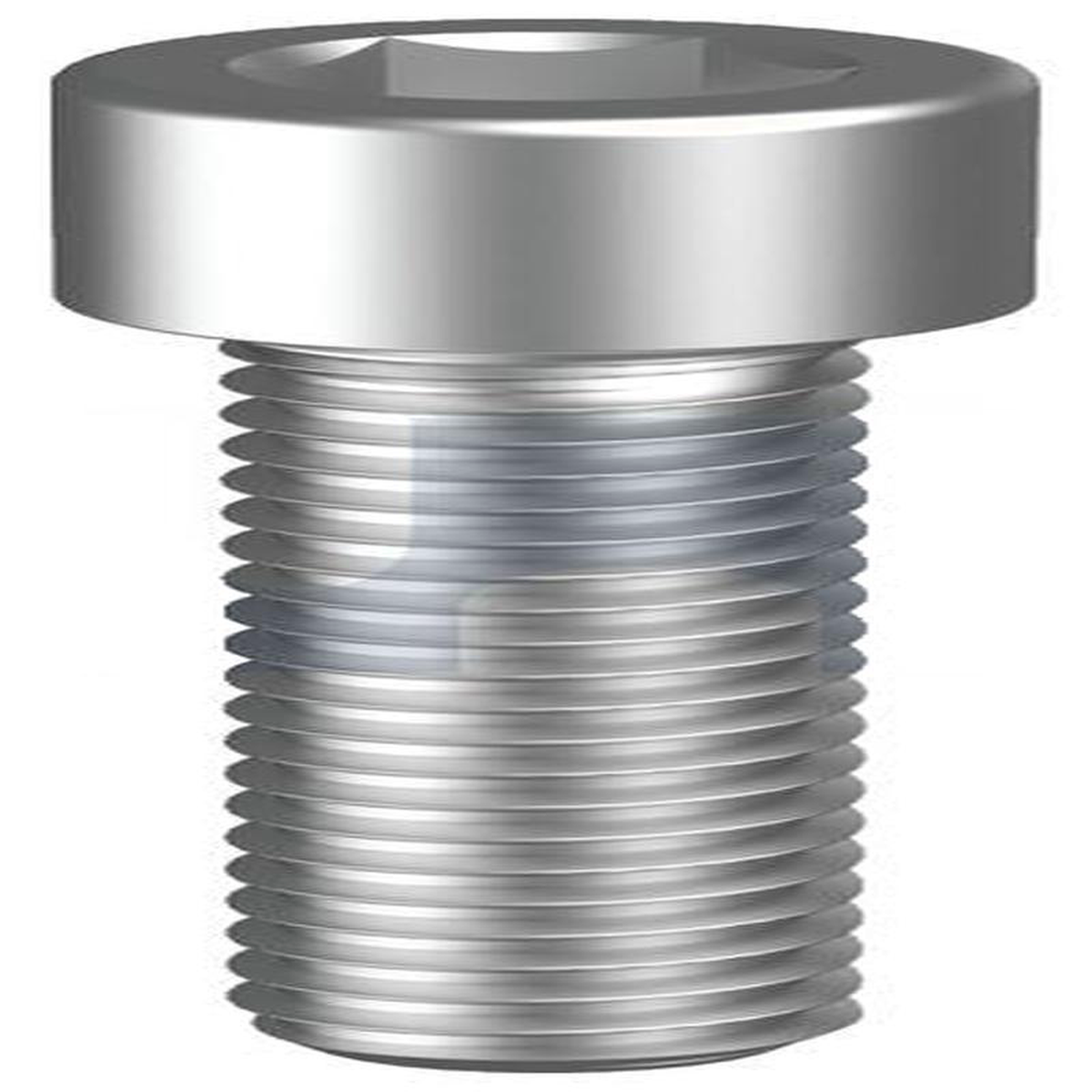 M6 x 14 Socket Hd Cap Scr Cl 129 PLN