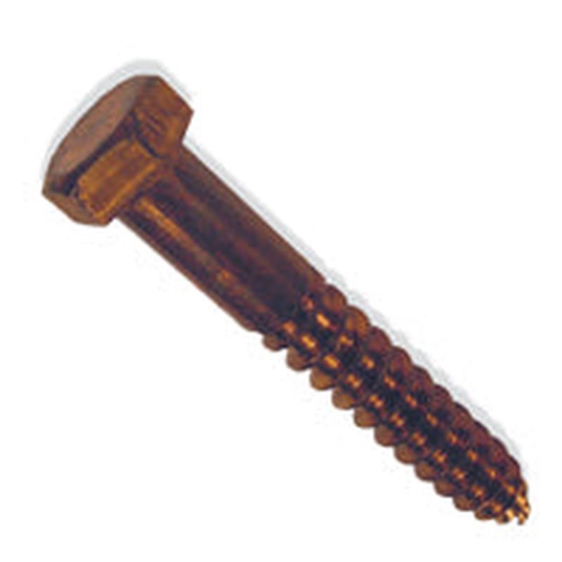 [1 PC] Lag Screws Hex Silicon Bronze 5/16 X 3