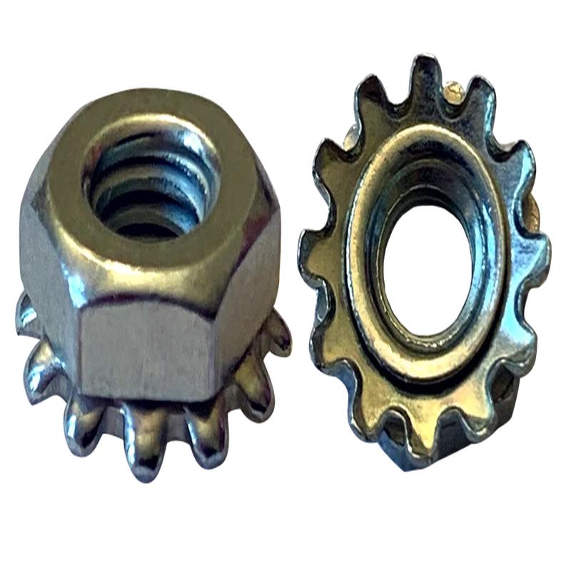 [1000 BULK] Keps Nuts 18/8 Stainless 1/4-20